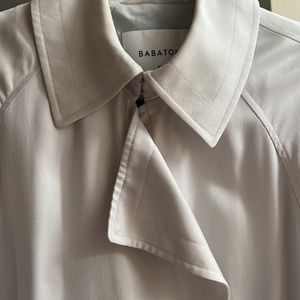 Beautiful Aritzia Babaton Spring Trench